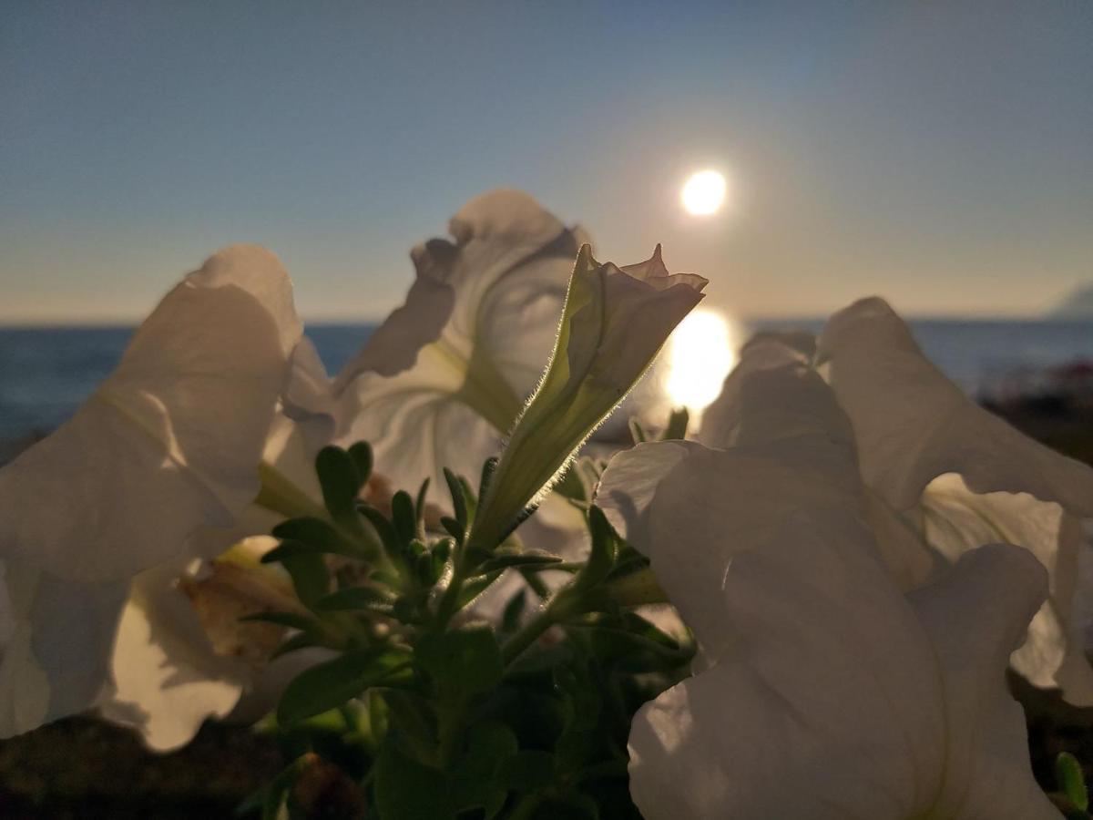 Nereides Apartments Agios Gordios  Exteriér fotografie