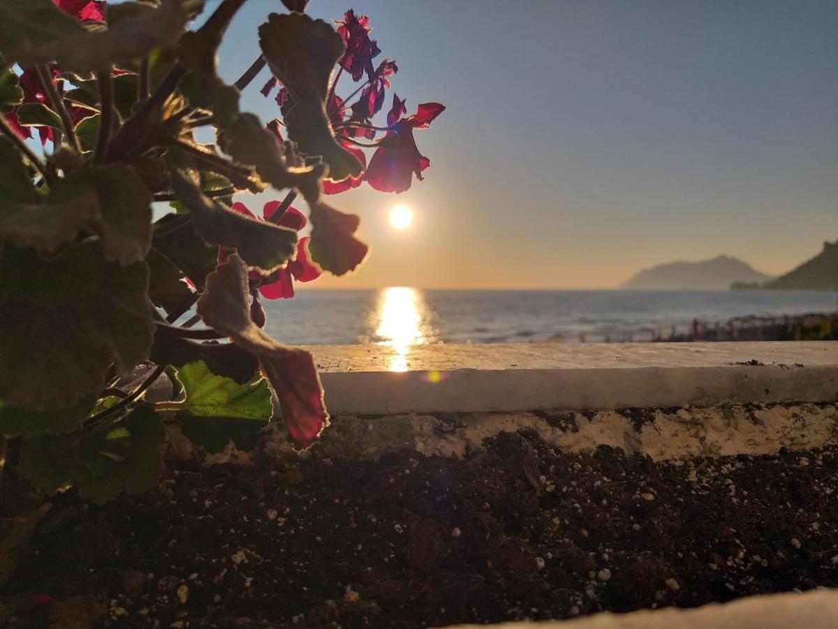 Nereides Apartments Agios Gordios  Exteriér fotografie